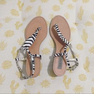 Steve Madden Zebra Sandals.