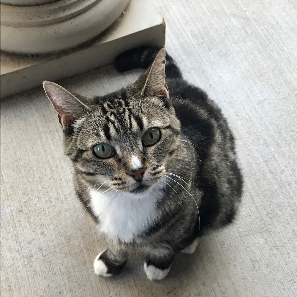 Meet your Posher, Robyn