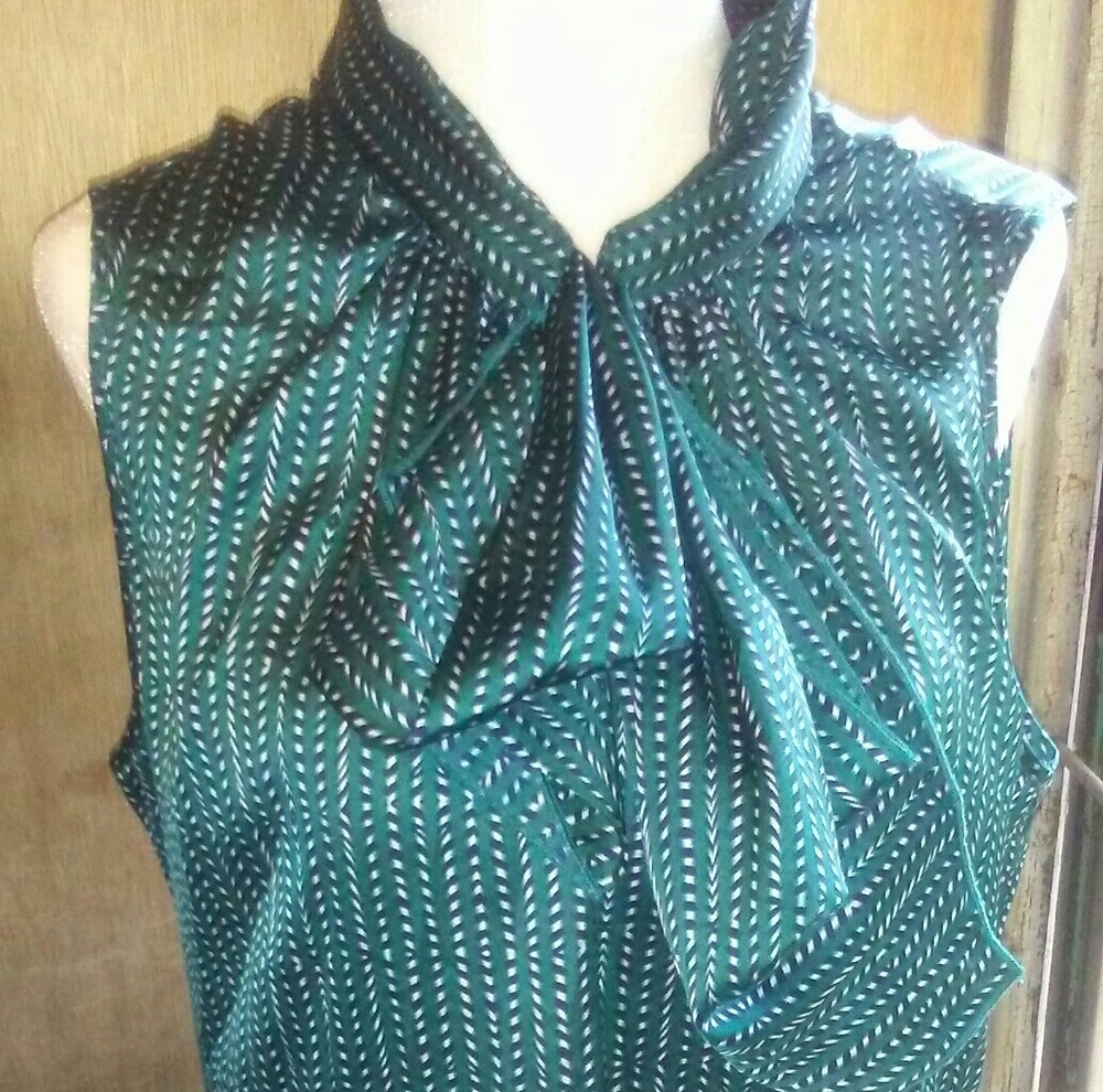 The Limited blouse with hook closure ascot