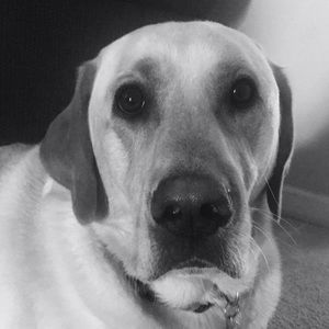 Meet your Posher, Blake