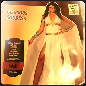 Greek Goddess Costume