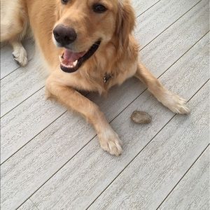 Meet your Posher, Jean