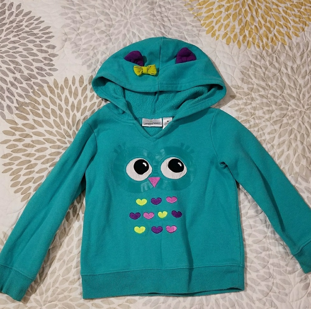 ❄🦉Owl Hoodie