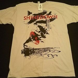 Gray Shinedown T-shirt