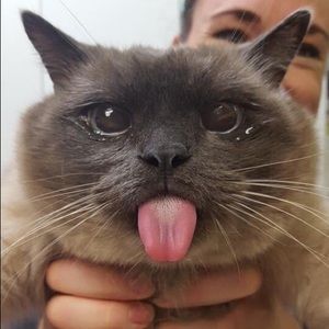 Meet your Posher, Luke