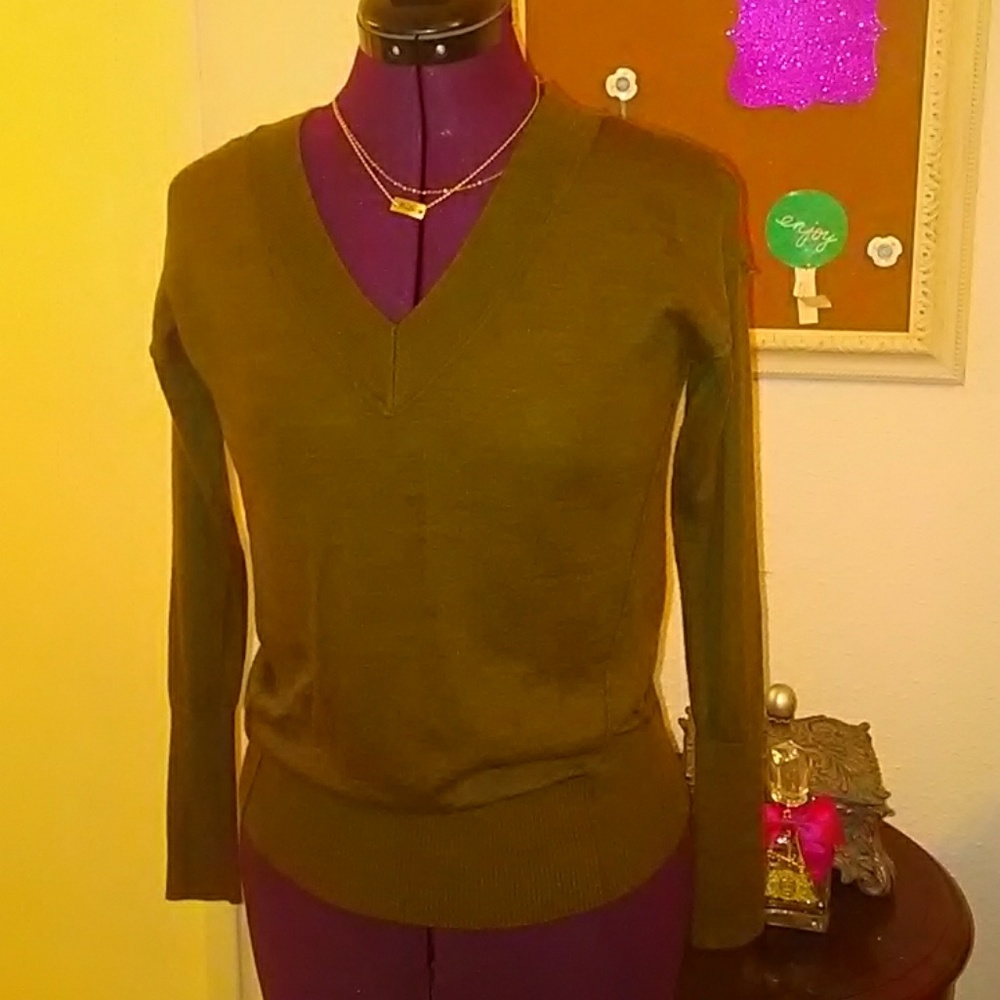 Ann Taylor Loft V neck sweater