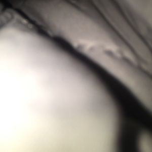 Meet your Posher, Dawn