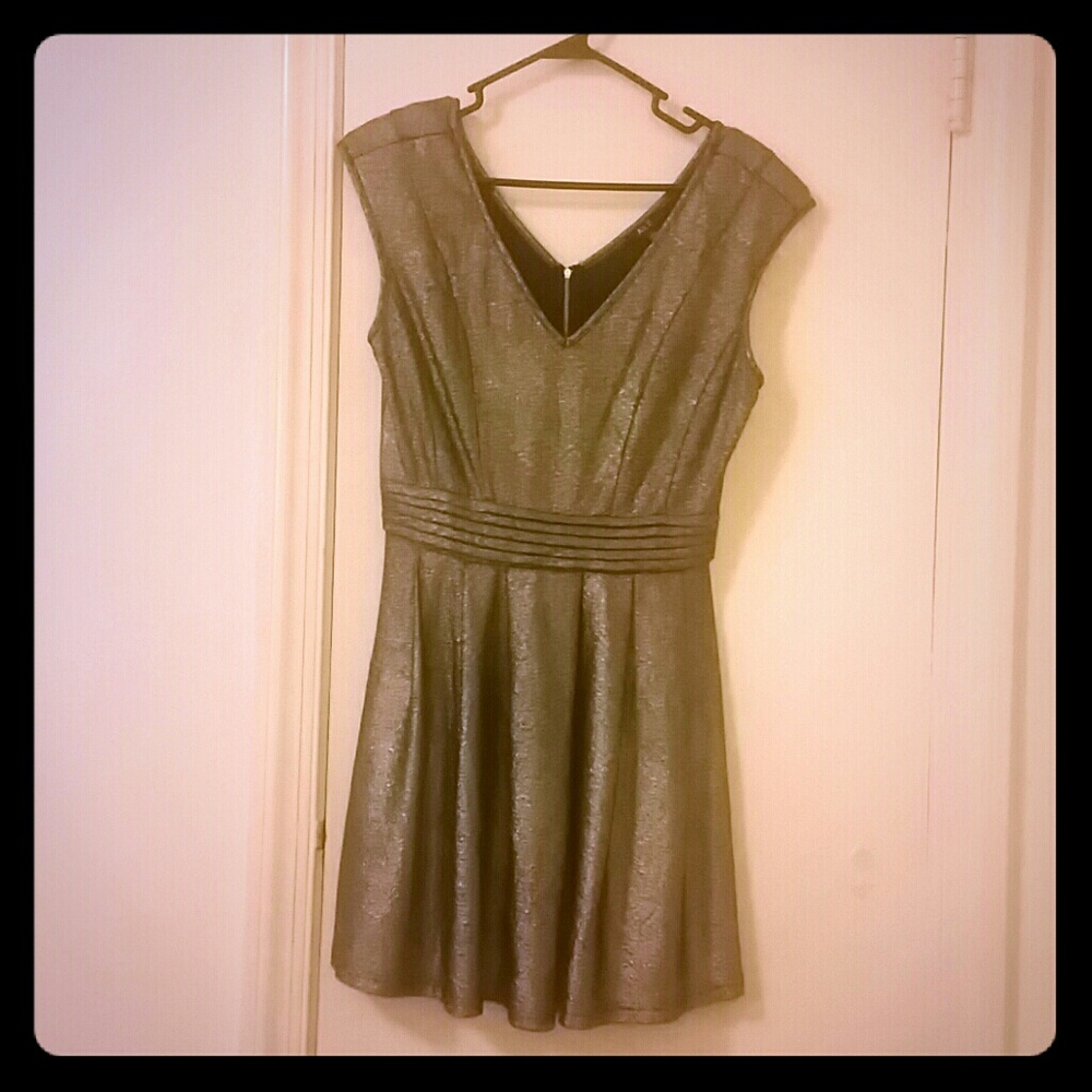 Little Silver Dress