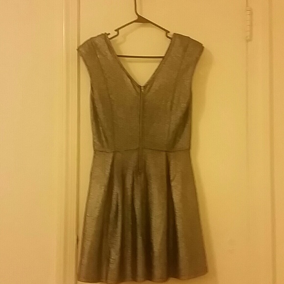 Little Silver Dress - Picture 2 of 4