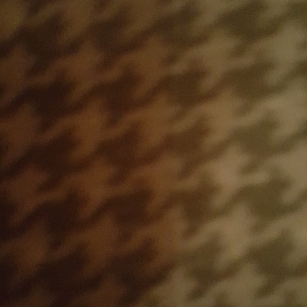 pants - Picture 3 of 3
