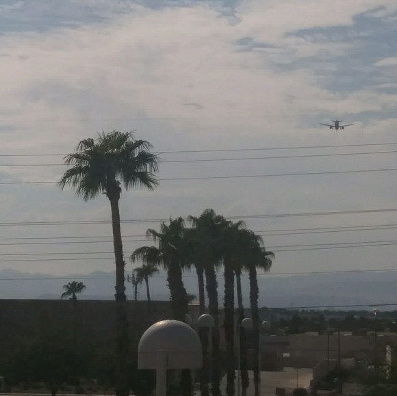 Meet your Posher, Audrey - Picture 1 of 1