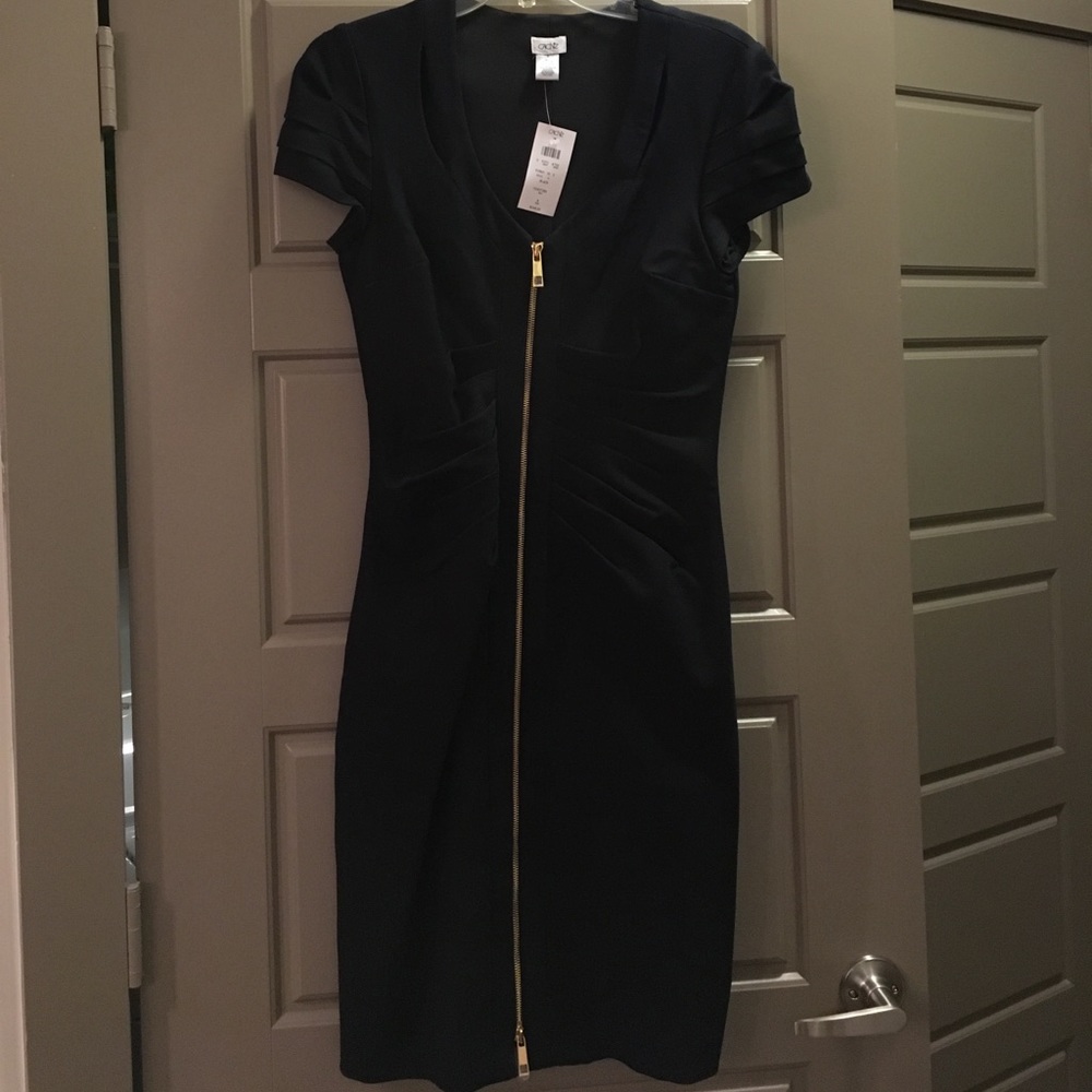 Black Bodycon Front Zip dress from Cache