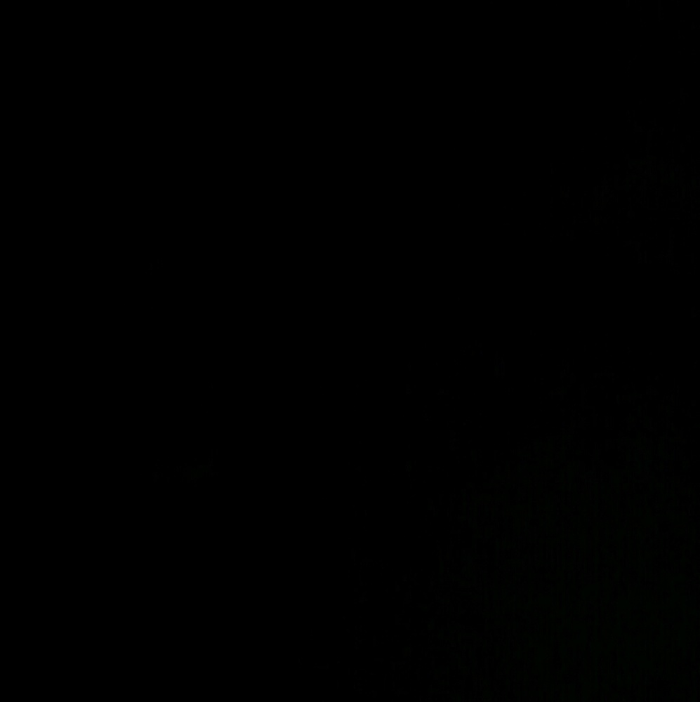 Meet your Posher, Maddy