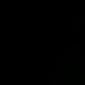 Meet your Posher, Maddy