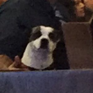 Meet your Posher, Luke