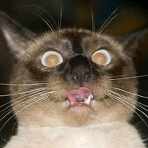 Meet your Posher, Erick