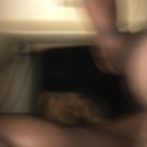 Meet your Posher, Phynedra