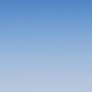 Meet your Posher, Paige