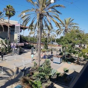 Meet your Posher, Janeth