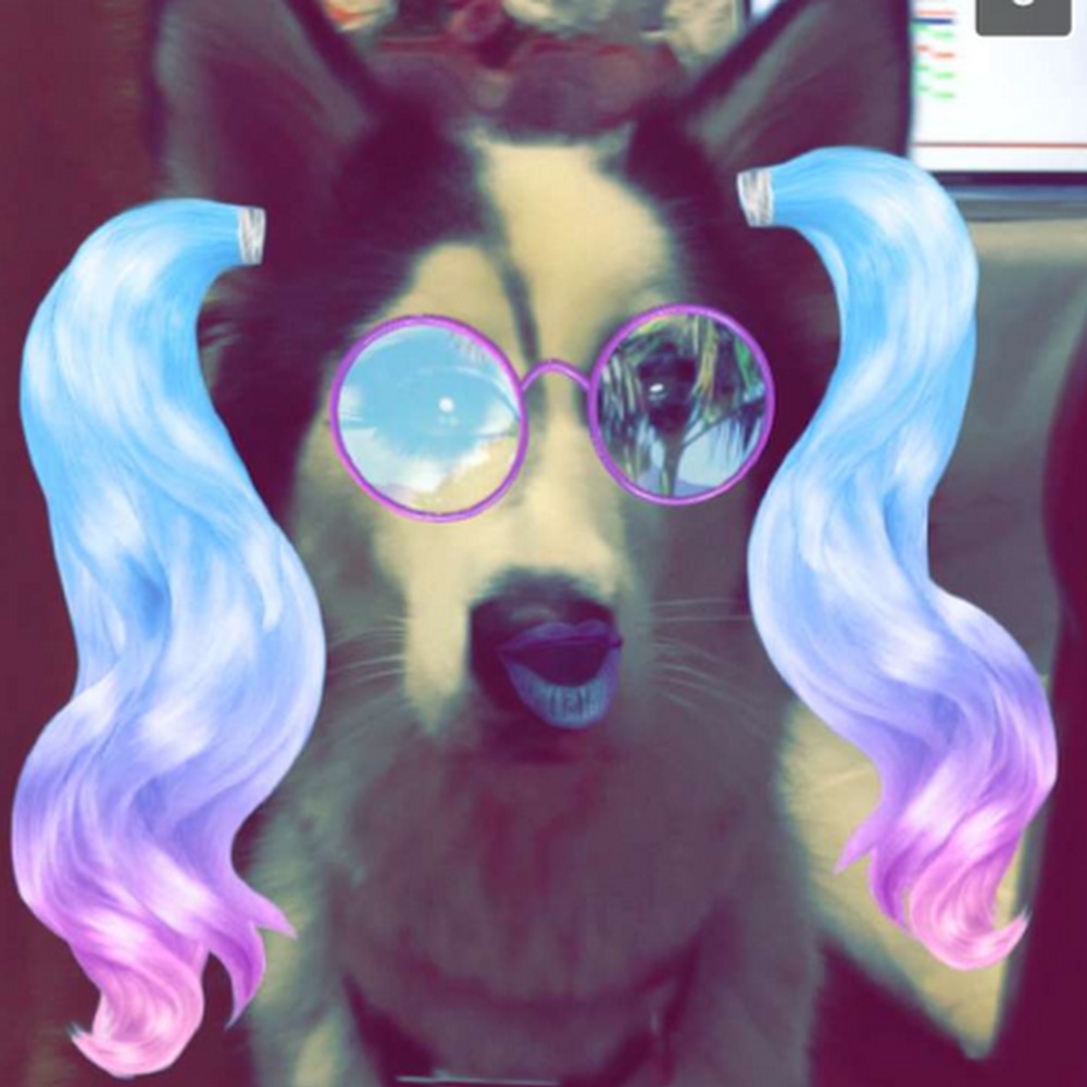 Meet your Posher, Danna