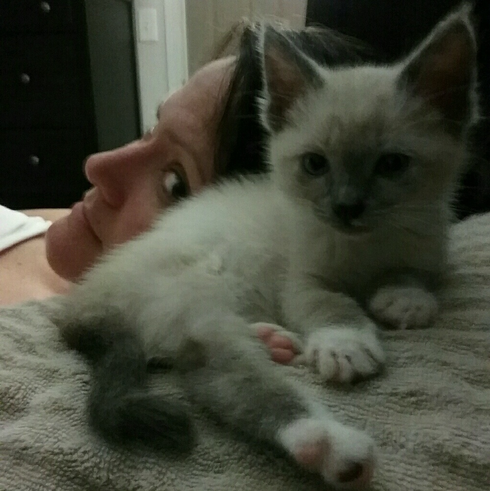 Meet your Posher, Stephanie