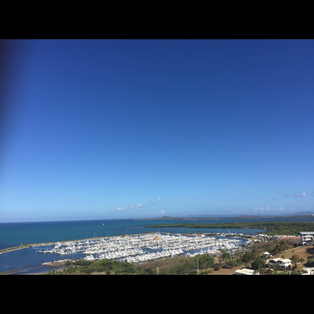 Meet your Posher, Jay