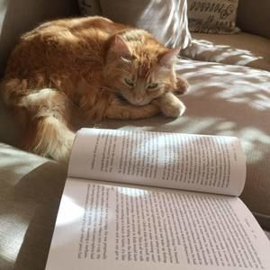 Meet your Posher, Xiaolin