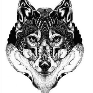 Meet your Posher, Edwin