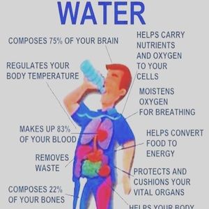 Meet your Posher, Austin