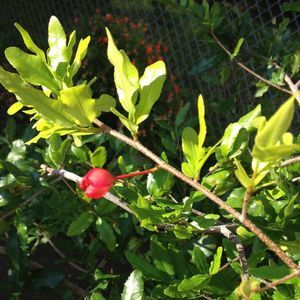 Meet your Posher, Nga