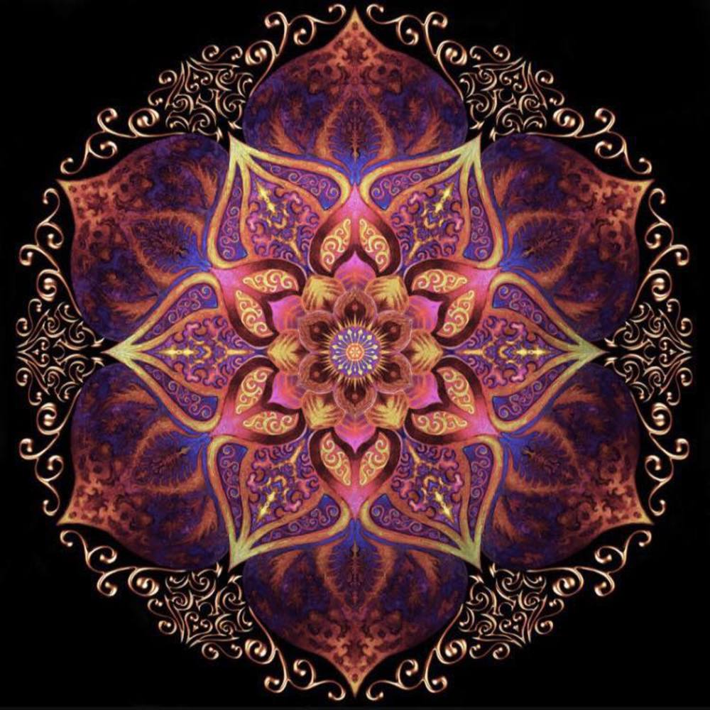 Meet your Posher, Pam