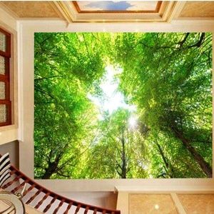 Meet your Posher, Rodnesha