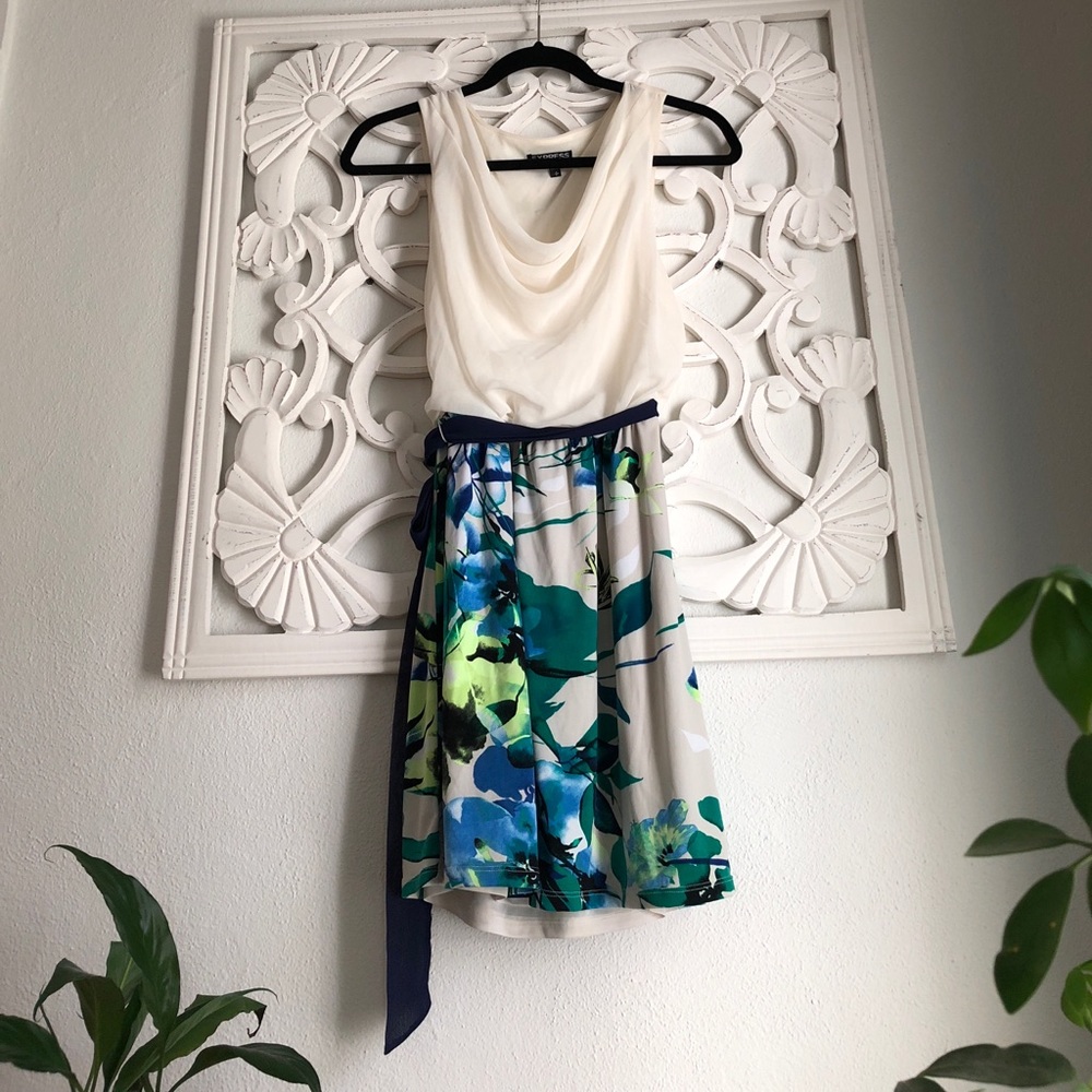 Express Belted Dress
