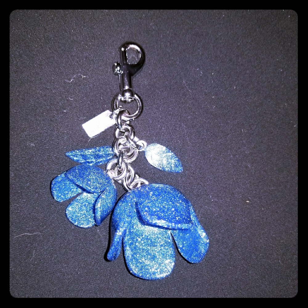 Coach keychain