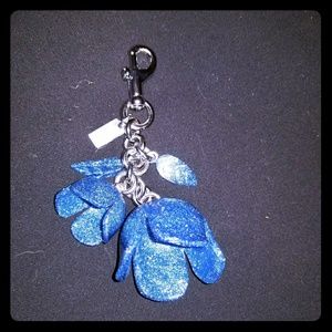 Coach keychain