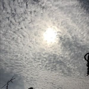 Meet your Posher, Rebeka