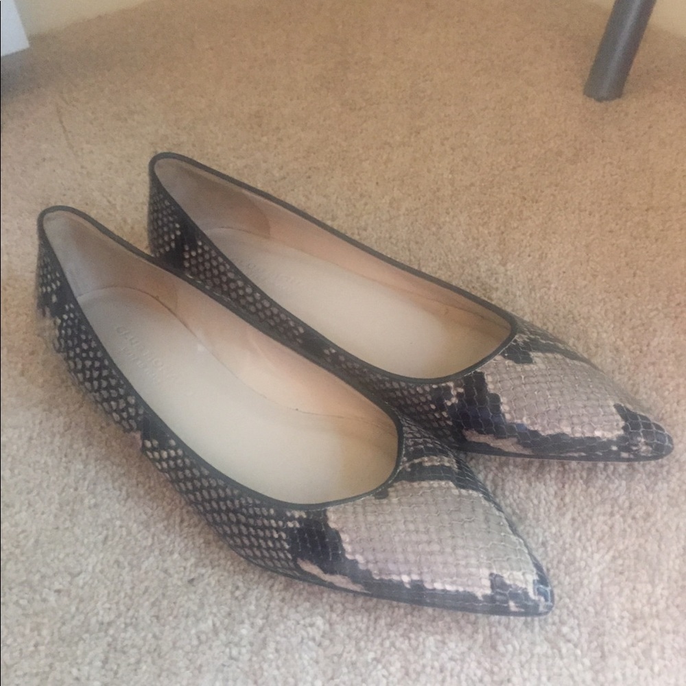 Club Monaco Snake Skin flats