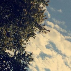 Meet your Posher, Katy