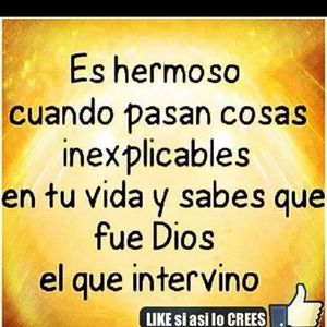 Meet your Posher, Ofelia