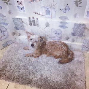 Meet your Posher, Cassidy