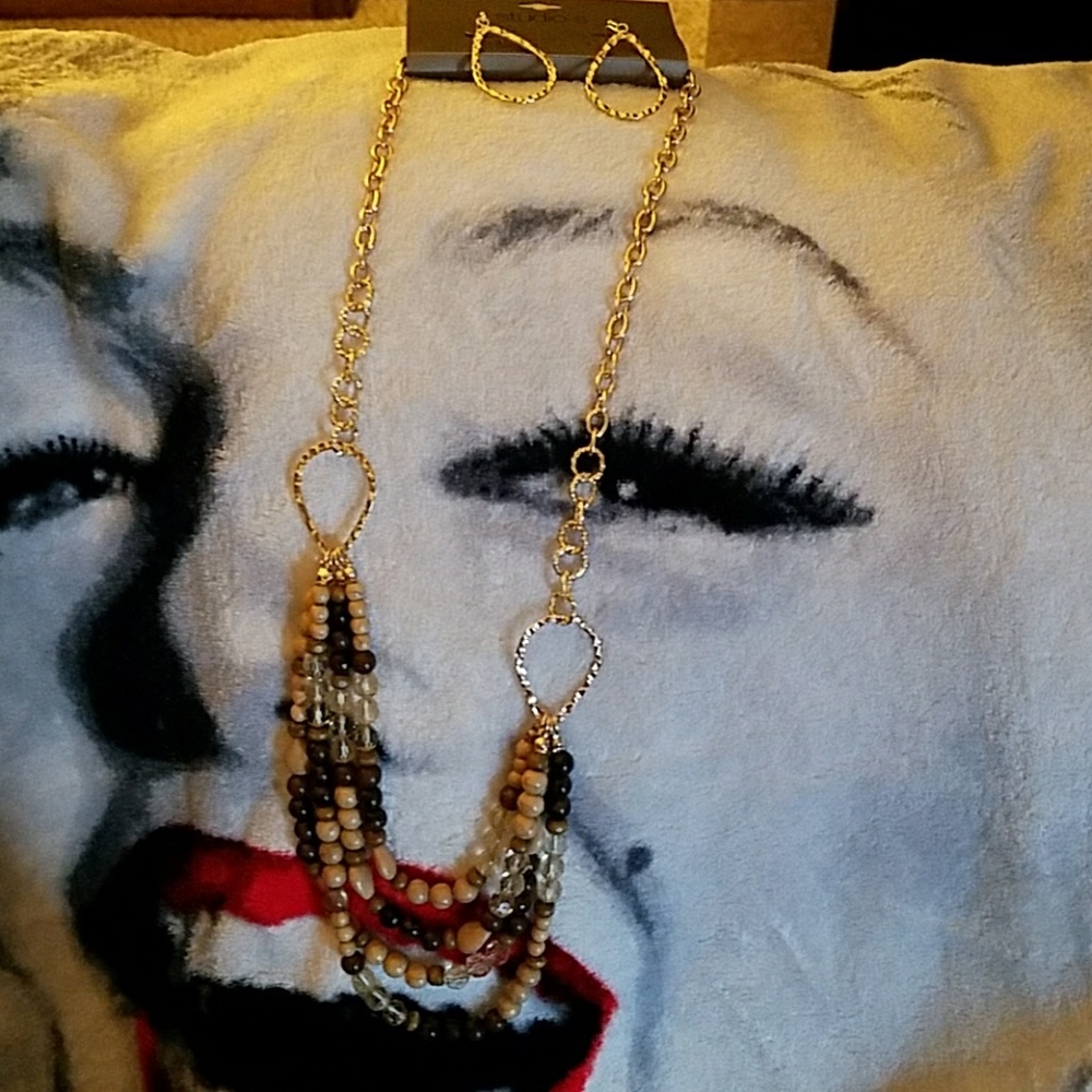 NWT Necklace and Earring Set