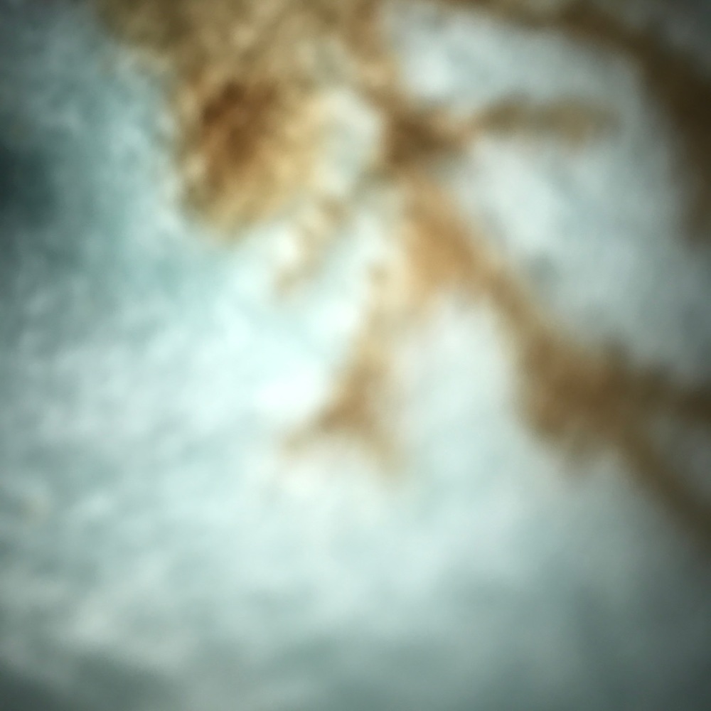 Meet your Posher, Carmen