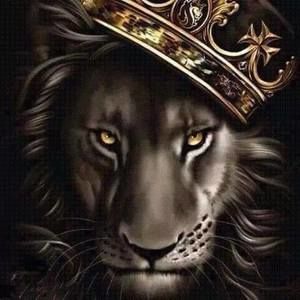 Meet your Posher, Loomis