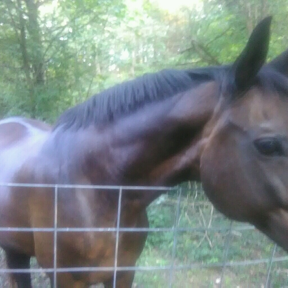 Meet your Posher, Erin