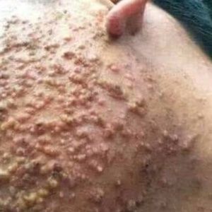 Meet your Posher, Rebeca