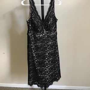 White House Black Market cream & black lace dress