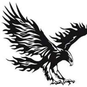 Meet your Posher, Ray