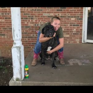 Meet your Posher, Carrie