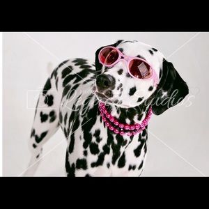 Meet your Posher, Miquelle