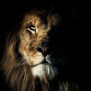 Meet your Posher, Marchelle